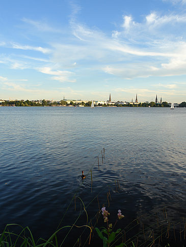 Außenalster Panorama - Hamburg (Hamburg)