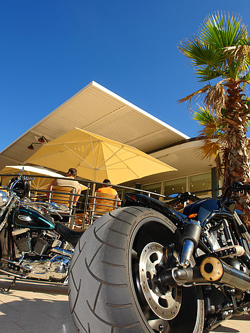 Harley Davidson am Alster Pavillion - Hamburg (Hamburg)