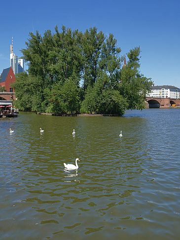 Foto Neuer Portikus am Main