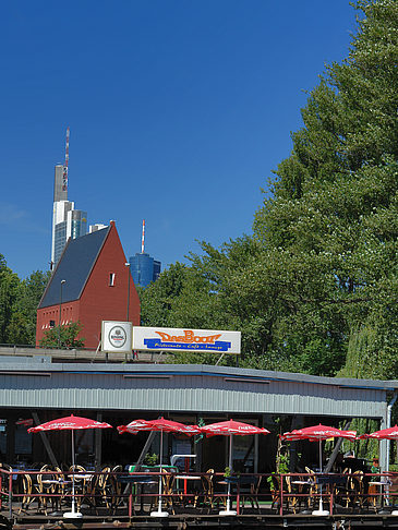 Neuer Portikus mit Bäumen - Hessen (Frankfurt am Main)