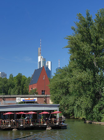 Neuer Portikus mit Bäumen - Hessen (Frankfurt am Main)