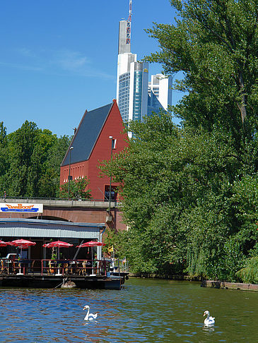Neuer Portikus mit Bäumen - Hessen (Frankfurt am Main)