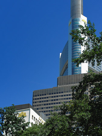 Commerzbanktower mit Baum