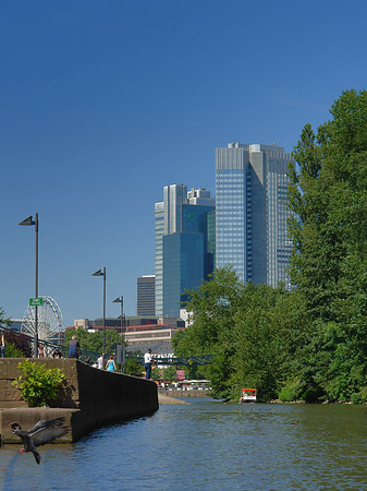 Eurotower und Dresdener Bank Foto 