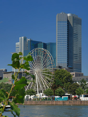 Eurotower und dresdener Bank mit riesenrad Fotos