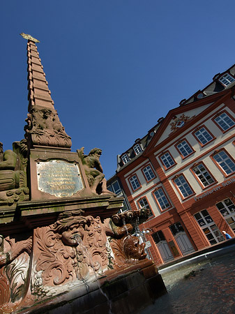 Haus zum Grimmvogel mit Liebfrauenbrunnen Foto 