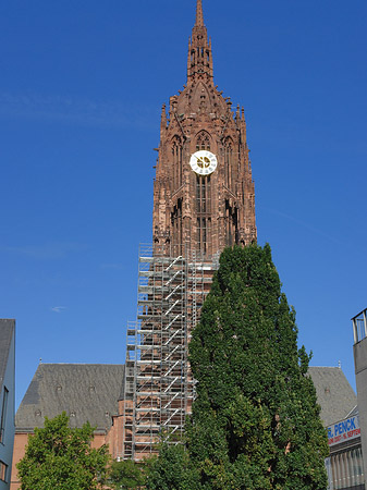 Fotos Kaiserdom St. Bartholomäus mit Baum