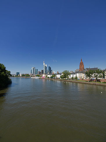 Blick über den Main Foto 