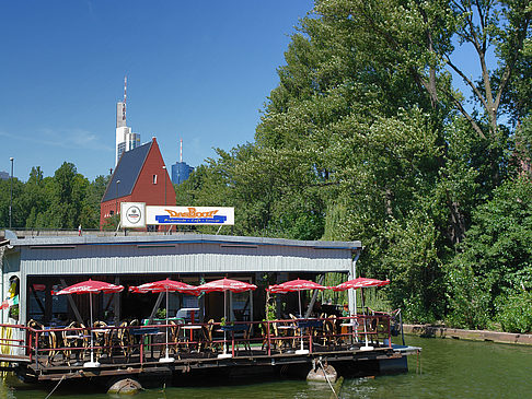 Neuer Portikus mit Bäumen - Hessen (Frankfurt am Main)