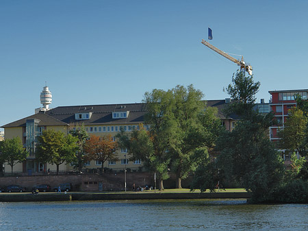 Blick über Main