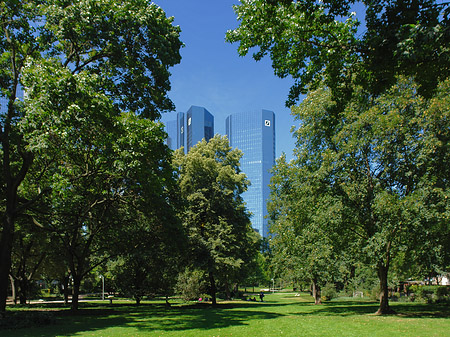 Foto Deutsche Bank mit Wald