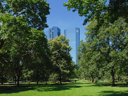 Fotos Deutsche Bank mit Wald