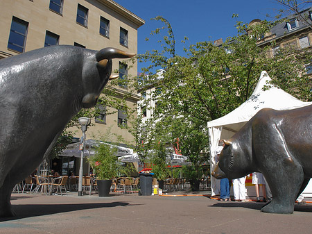 Bulle und Bär
