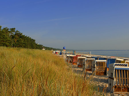 Dünen - Mecklenburg-Vorpommern (Ostseebad Binz)
