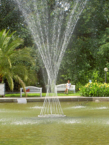 Palmengarten - Hessen (Frankfurt am Main)
